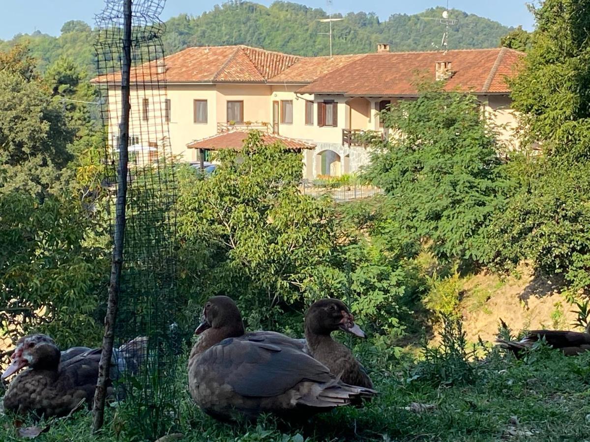 Come Una Volta Farm Brozolo Extérieur photo