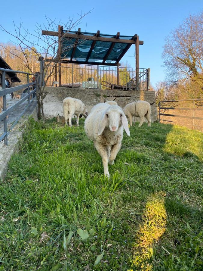 Come Una Volta Farm Brozolo Extérieur photo